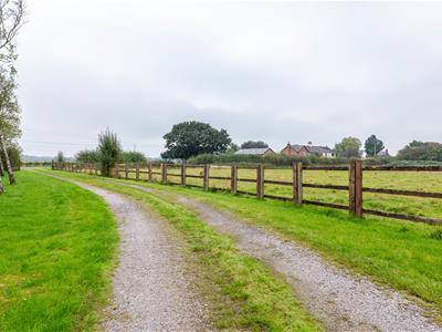 Picture 26